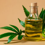 Everything You Need to Know About Weed Oil