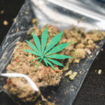 Where can you buy weed baggies: your Comprehensive Guide