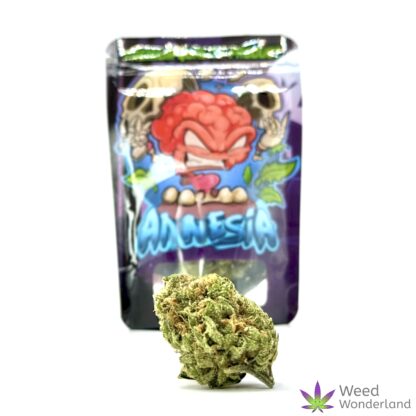 Buy THC flowers Amnesia Haze