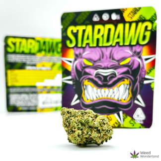 Stardawg