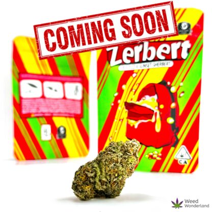 Buy THC flowers Zerbet