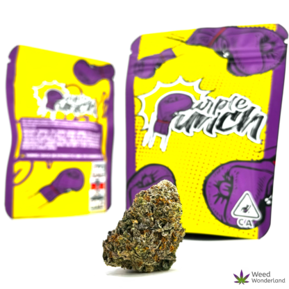 Buy THC flowers Purple Punch