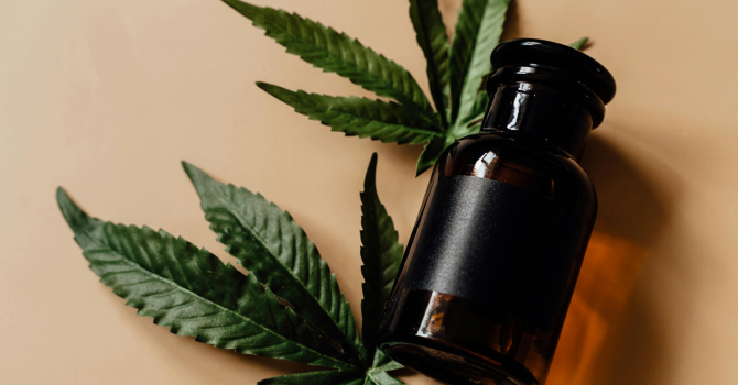 Navigating the Nuances of Cannabis Oil Dosage: A Fresh Perspective