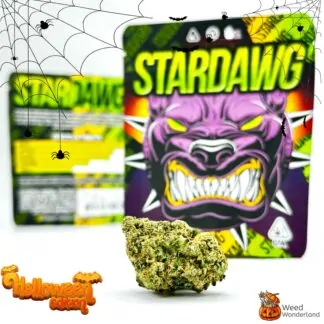 Stardawg