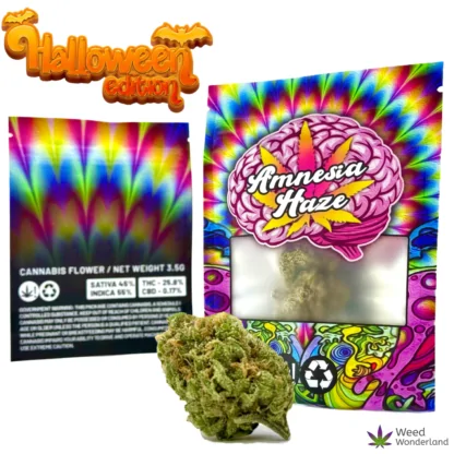 Buy THC flowers Amnesia Haze